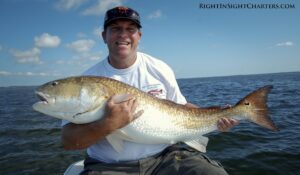 Redfish-sight fishing-bull redfish-breeder redfish-red drum
