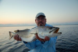 right in sight charters-speckled trout-gator trout-topwater lures-mosquito lagoon