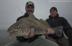 black drum-indian river lagoon-mosquito lagoon charters-florida fishing charters-new smyrna beach fishing guides