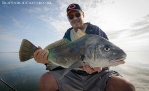 saltwater fishing, black drum, sight fishing, flats fishing, catch and release, fishing destinations, central florida, tailing black drum, florida,