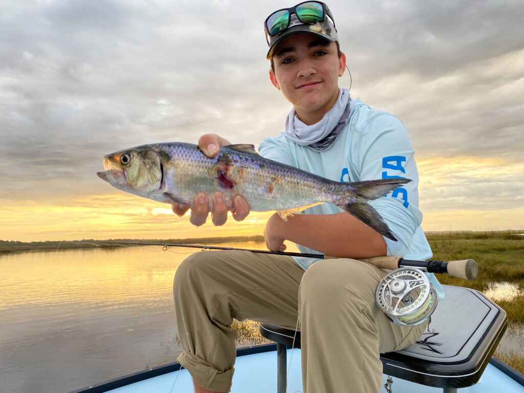 redfish, redfish on fly, sightfishing, mosquito lagoon, indian river lagoon, new smyrna beach, new smyrna beach fly fishing, flats fishing, backcountry fishing, fishing flats, sight fishing the flats, shallow water sight fishing, fly fishing, saltwater fly fishing, tailng redfish, seatrout on fly, black drum on fly, snook on fly, tarpon on fly, florida sight fishing, florida fly fishing, winter redfishing, shad, shad on fly, st johns river