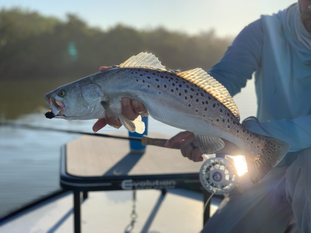 redfish, redfish on fly, sightfishing, mosquito lagoon, indian river lagoon, new smyrna beach, new smyrna beach fly fishing, flats fishing, backcountry fishing, fishing flats, sight fishing the flats, shallow water sight fishing, fly fishing, saltwater fly fishing, tailng redfish, seatrout on fly, black drum on fly, snook on fly, tarpon on fly, florida sight fishing, florida fly fishing,